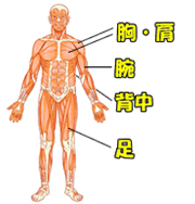 4分割の実践例1