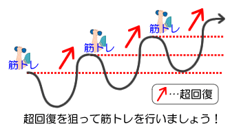 超回復の期間を狙って筋トレしましょう！