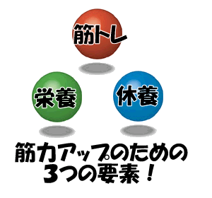 筋力アップのための3つの要素