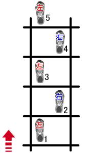 ラダートレーニングの基本ステップ